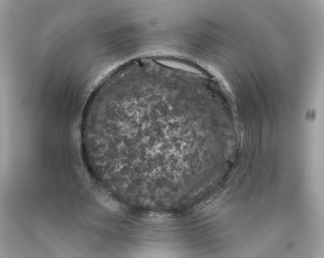 X0000089960487200707201952