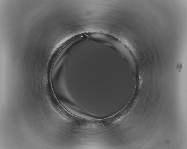 X0000089960488200707201952