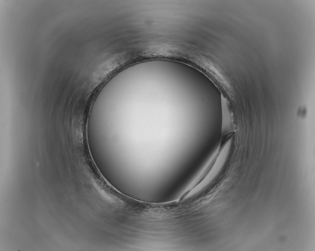 X0000089960489200707201952