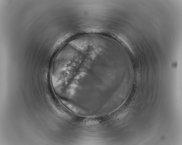 X0000089960491200707201952