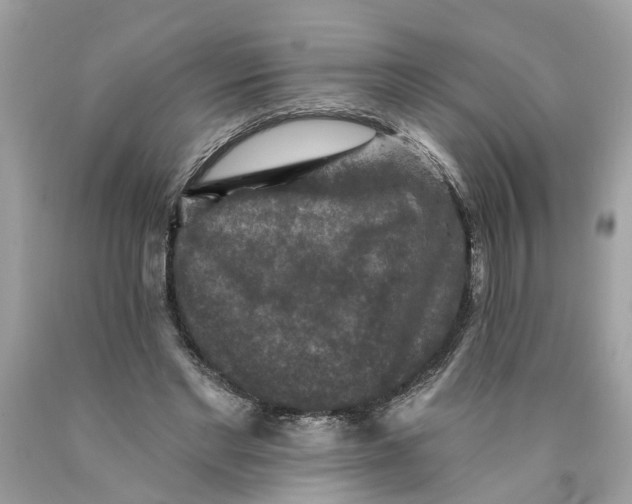 X0000089960493200707201952