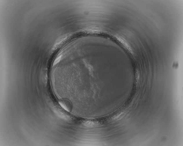 X0000089960494200707201952