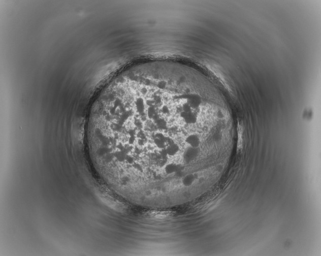 X0000089960495200707201952