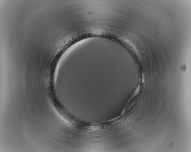 X0000089960496200707201952