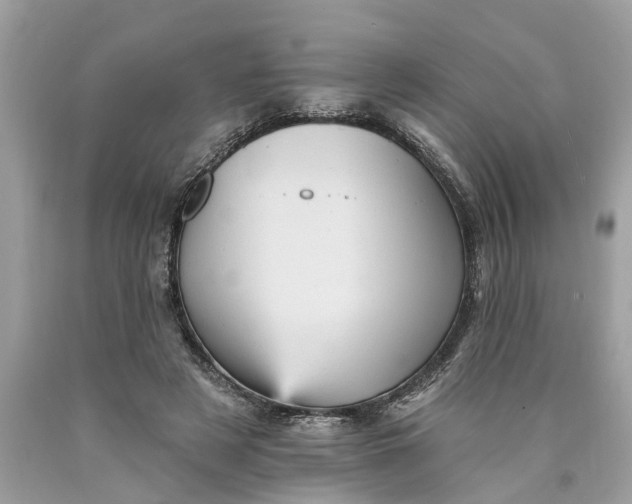 X0000089960497200707201952