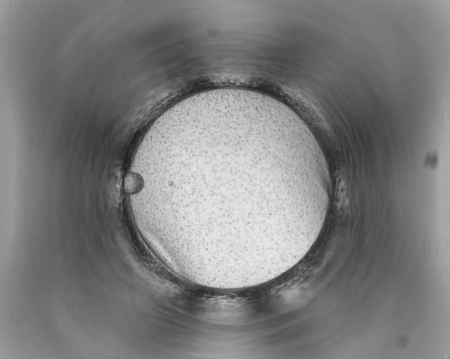 X0000089960498200707201952