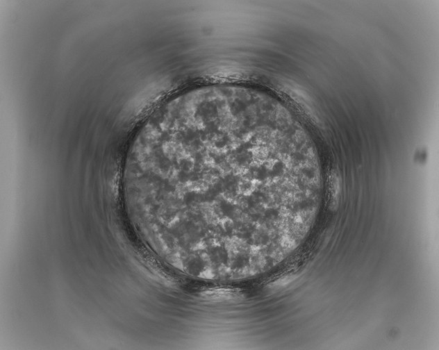 X0000089960499200707201952