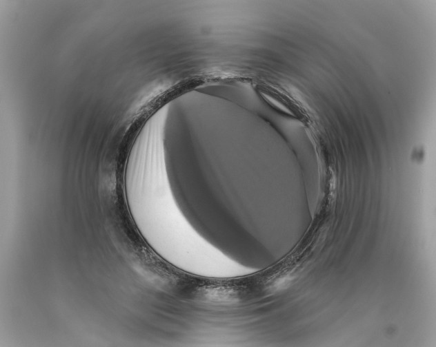 X0000089960500200707201952