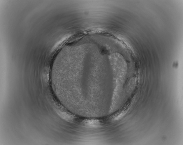 X0000089960501200707201952