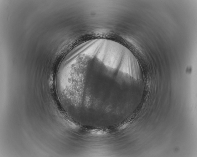 X0000089960502200707201952