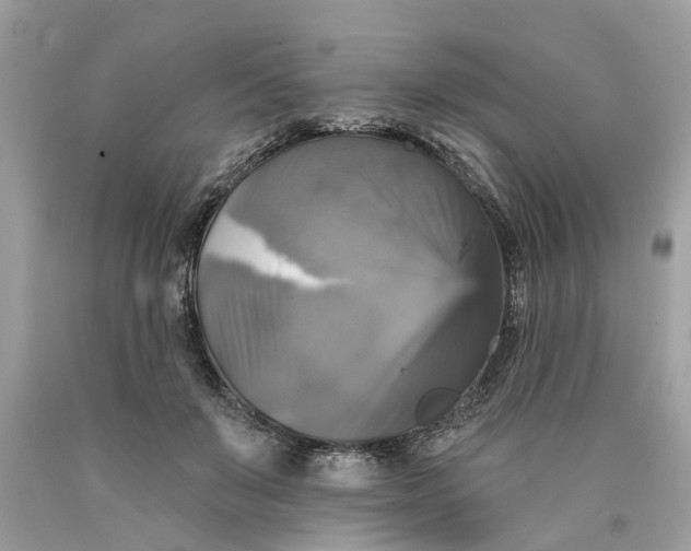 X0000089960503200707201952