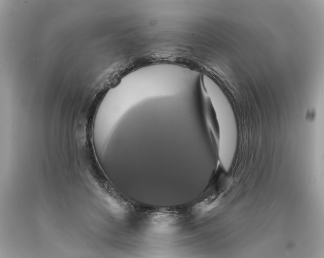 X0000089960504200707201952