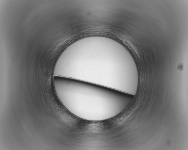 X0000089960505200707201952