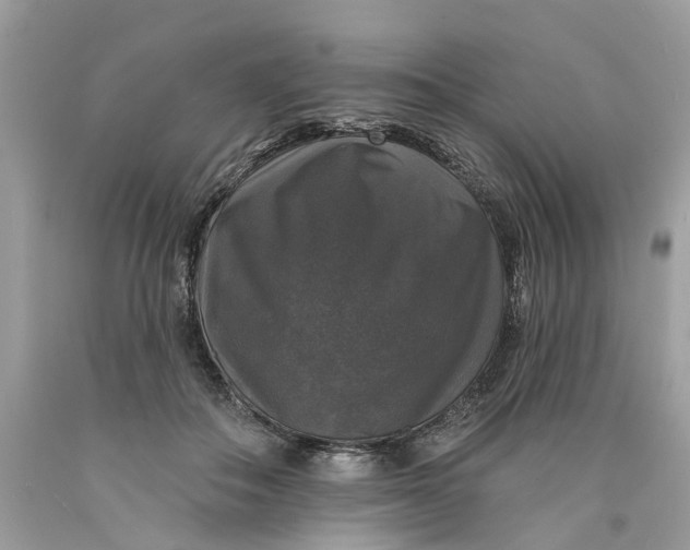 X0000089960506200707201952