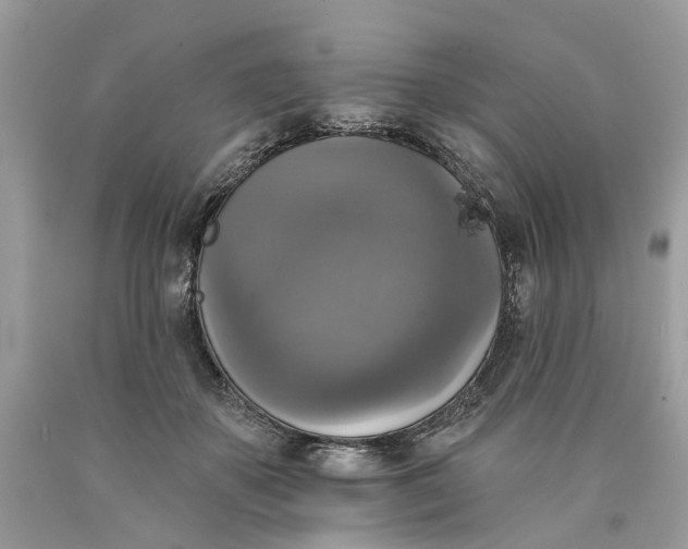 X0000089960507200707201952