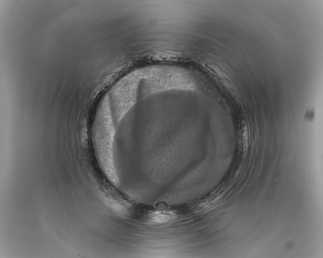 X0000089960508200707201952