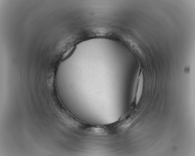 X0000089960509200707201952