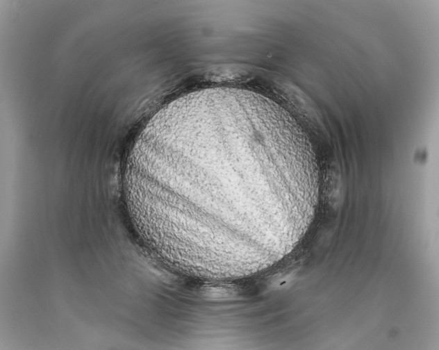 X0000089960510200707201952