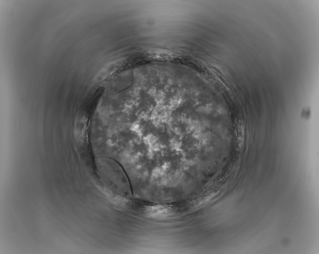 X0000089960511200707201952