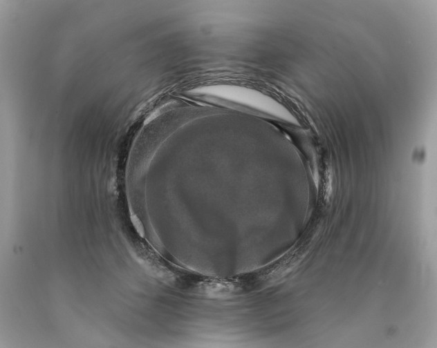 X0000089960512200707201952