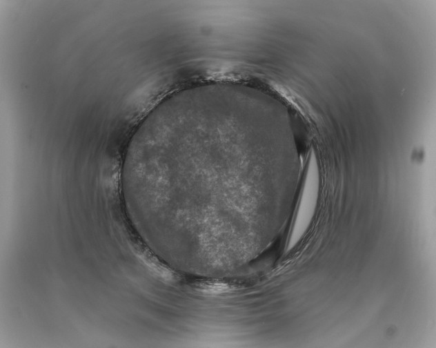 X0000089960513200707201952