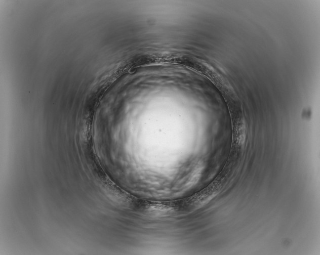 X0000089960515200707201952