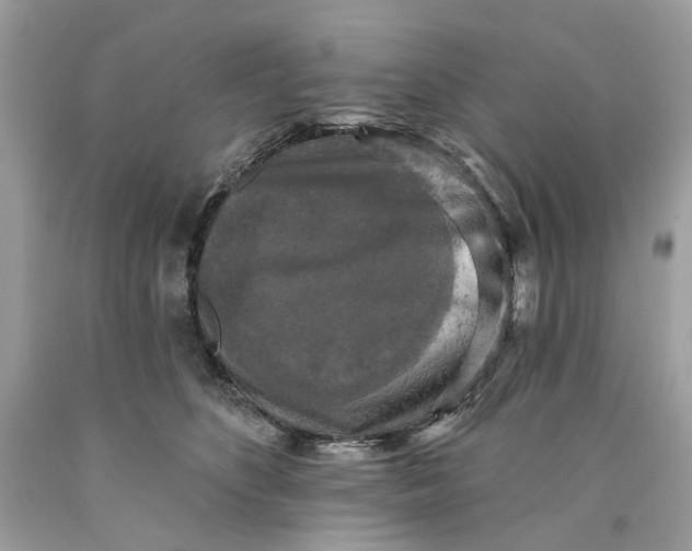 X0000089960516200707201952