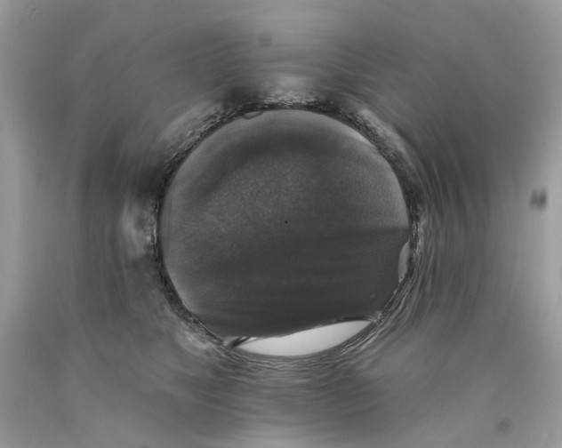 X0000089960517200707201952