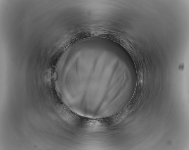 X0000089960519200707201952