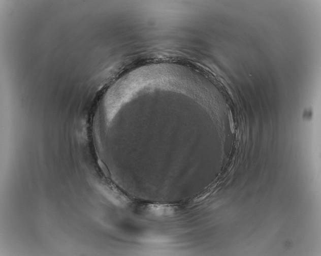 X0000089960520200707201951