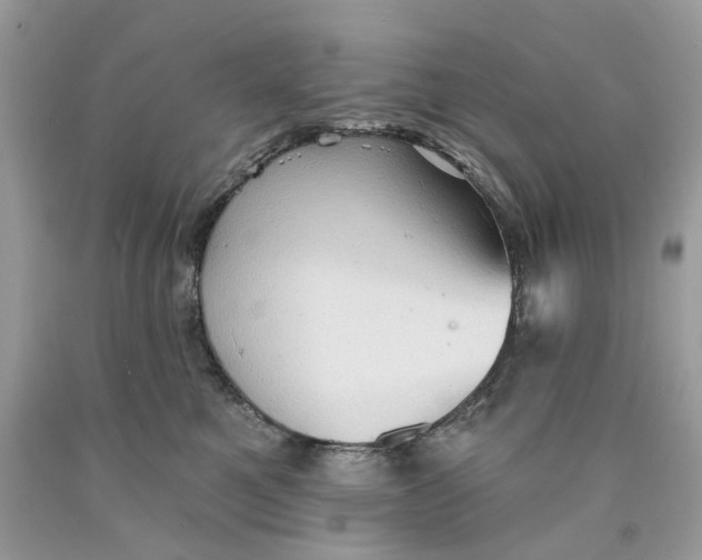 X0000089960521200707201951