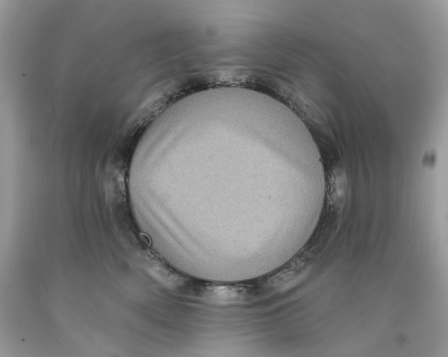 X0000089960522200707201951