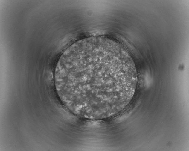 X0000089960523200707201951