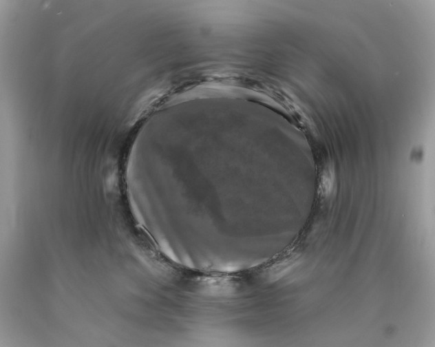 X0000089960524200707201951