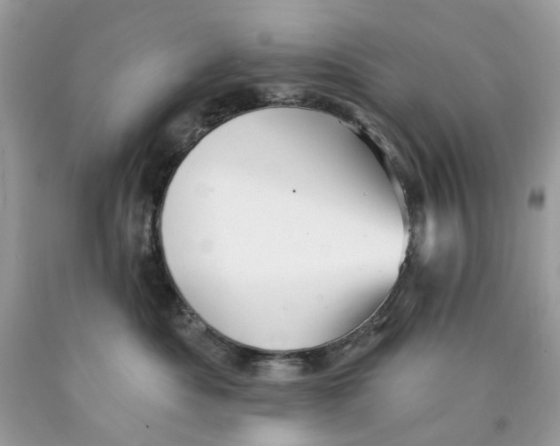 X0000089960525200707201951