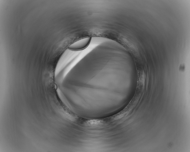 X0000089960526200707201951