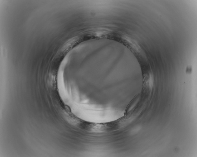 X0000089960527200707201951