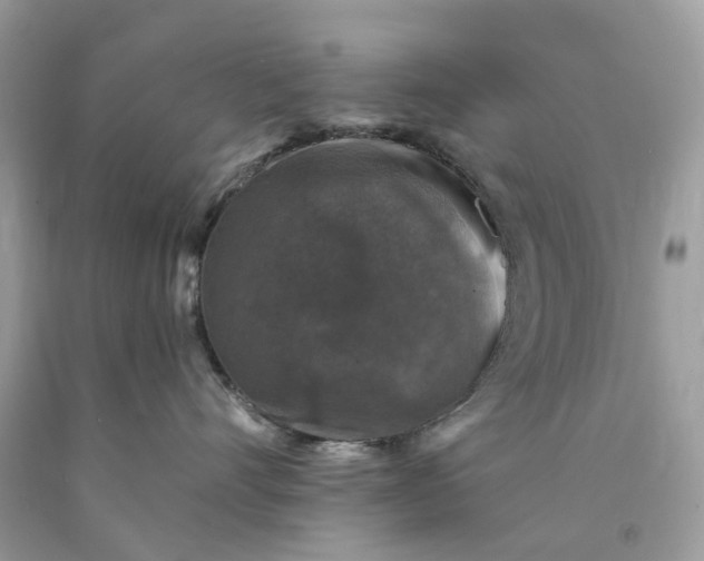 X0000089960528200707201951