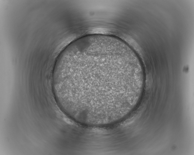 X0000089960529200707201951