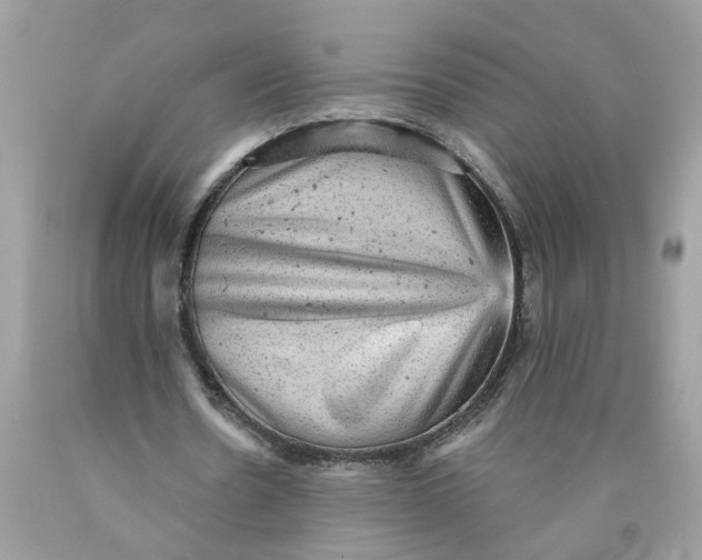 X0000089960530200707201951