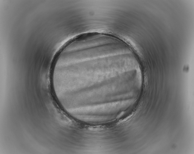 X0000089960532200707201951