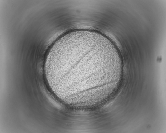 X0000089960533200707201951