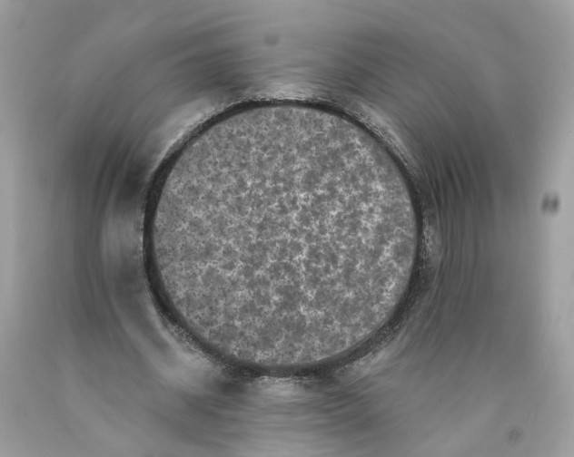 X0000089960534200707201951