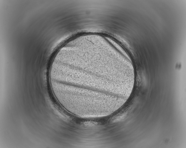 X0000089960535200707201951