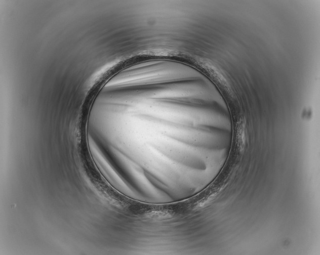 X0000089960536200707201951