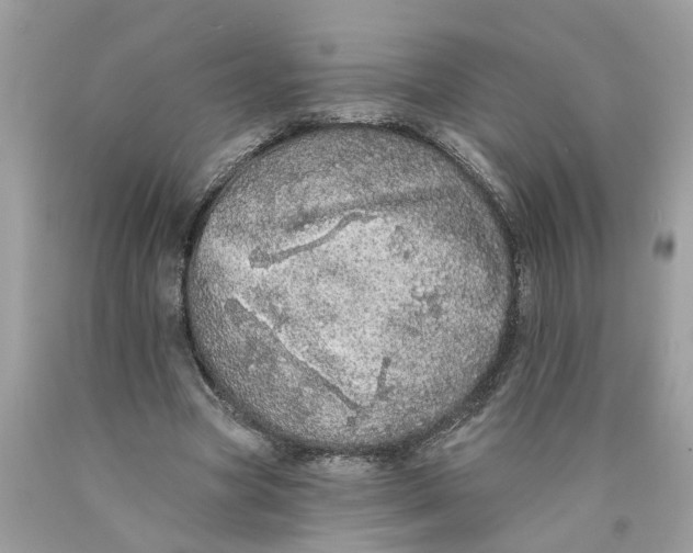 X0000089960537200707201951