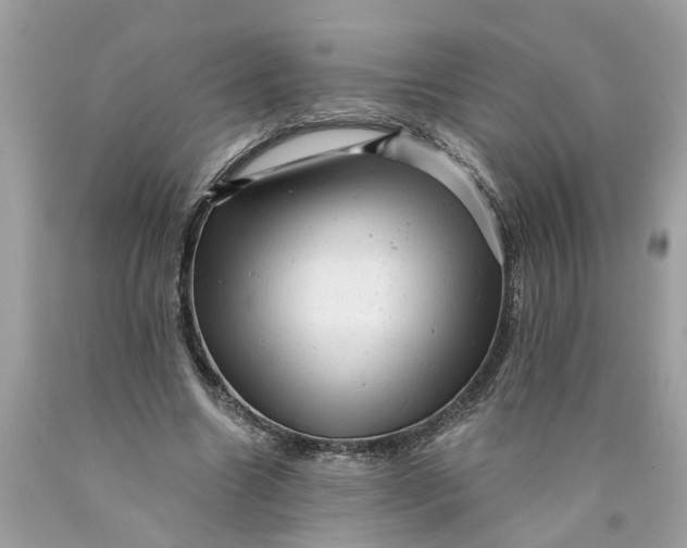 X0000089960538200707201951