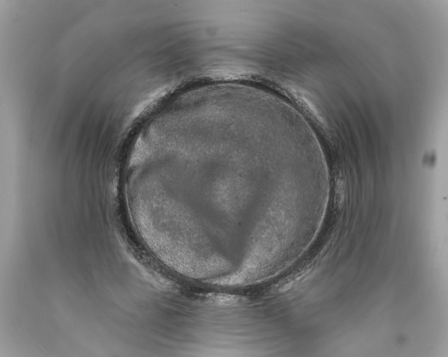 X0000089960539200707201951