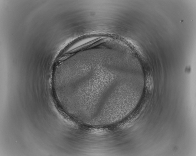 X0000089960540200707201951