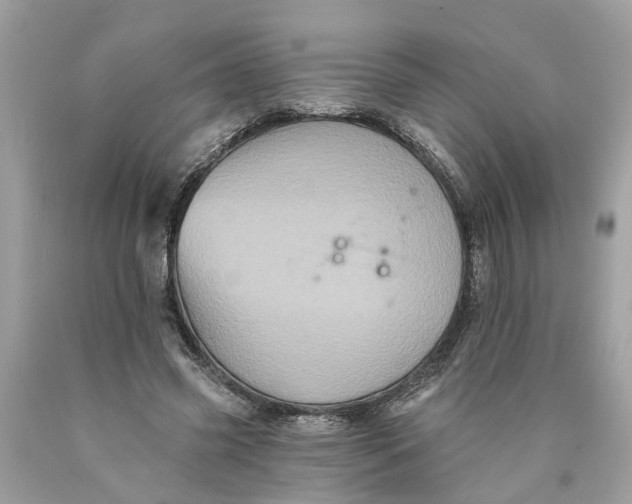 X0000089960541200707201951